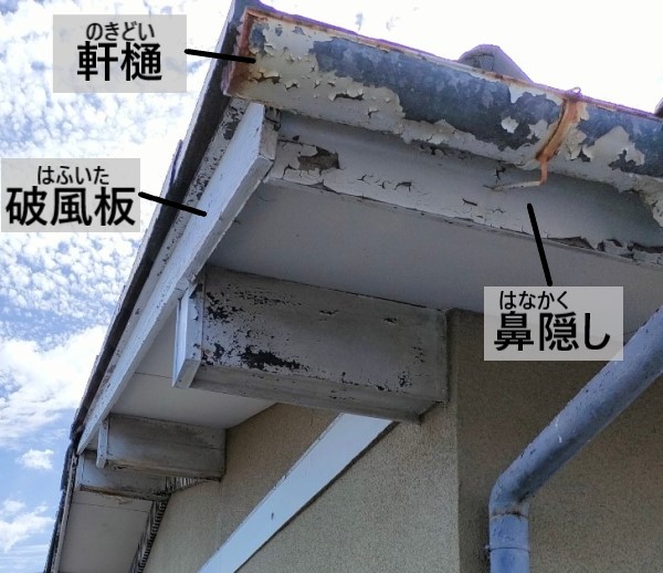 軒樋や破風板　鼻隠しも劣化しています